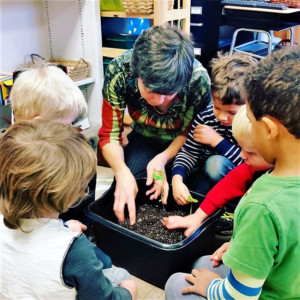 PlantingPrimA Planting Primary A 2016